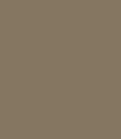 Mélange Cajun présenté dans des bols d'épices colorées avec graines et aromates sur plateau métallique