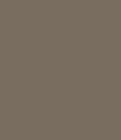 Mélange Cajun illustré par une silhouette stylisée de la Louisiane en beige avec typographie intégrée