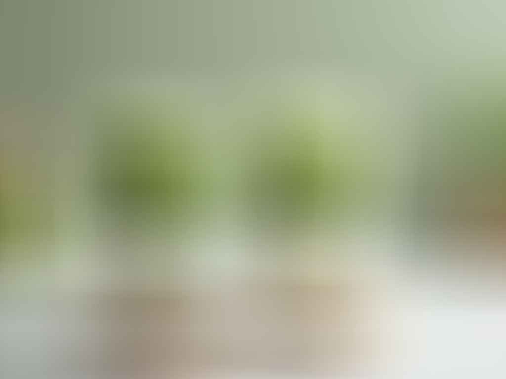 Boisson matcha vanille glacée servie dans des verres élégants, idéale pour les amateurs de saveurs douces et végétales.