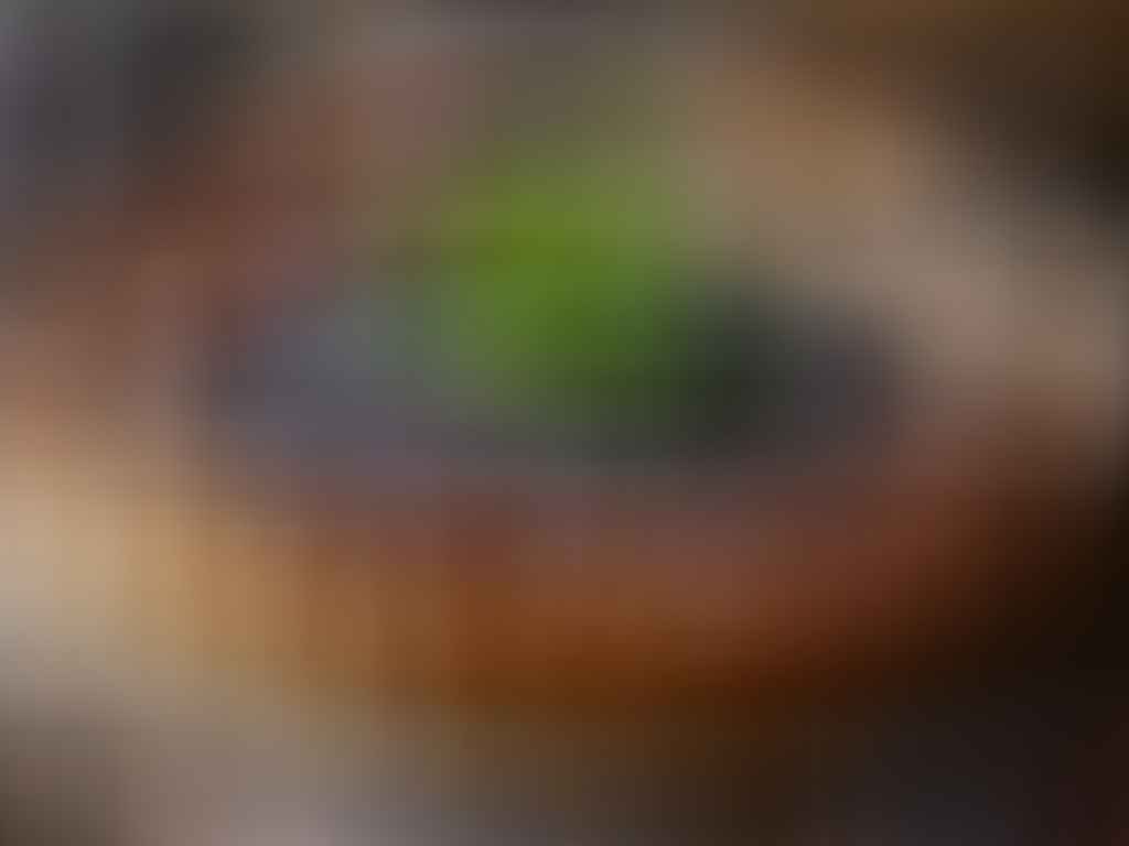 Délicieuse tarte aux pruneaux décorée de feuilles de menthe, saupoudrée de sucre glace – une recette gourmande et élégante.