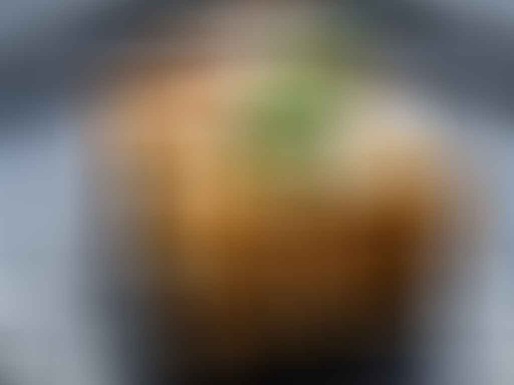 Traditionelles Lasagne Rezept in Auflaufform: saftige Fleischsauce, Pasta und goldbraun überbackener Käse