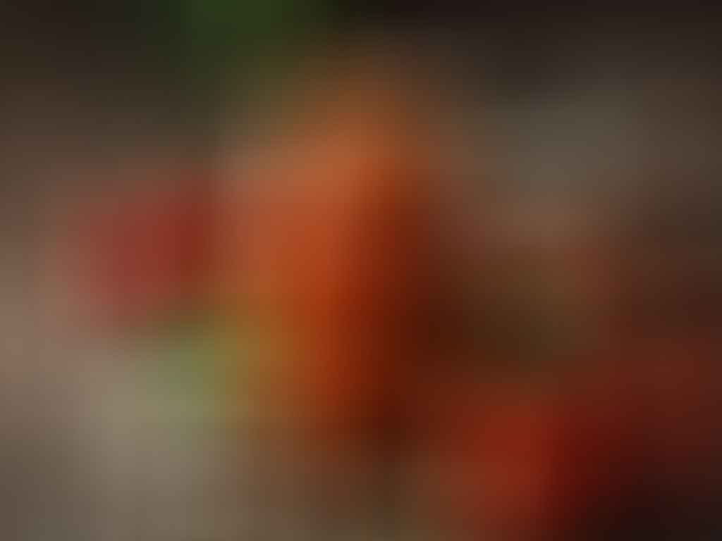 Passata di pomodoro ricetta della nonna fatta in casa con pomodori maturi, erbe aromatiche e sapori genuini della tradizione.