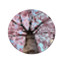Favicon Marie Luce 1