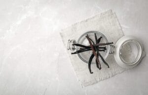 Coltivare la vaniglia: dalla pianta al baccello 8 comment conserver des gousses de vanille