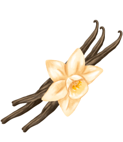 trois gousse de vanille et la fleur