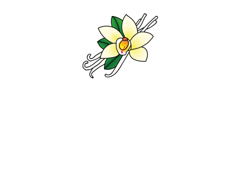 logo vahina