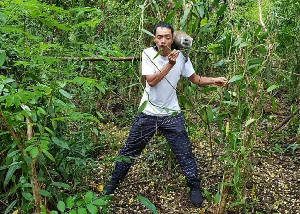 Daniel Vahina