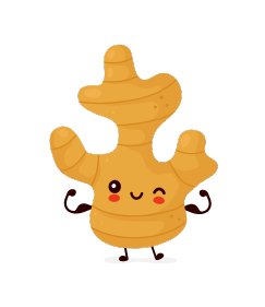 Gingembre kawaii souriant avec des petits bras, illustration vectorielle mignonne en style cartoon