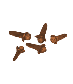 Clous de girofle entiers bruns disposés en éventail, épices essentielles du mélange 4 épices, photographiés en gros plan