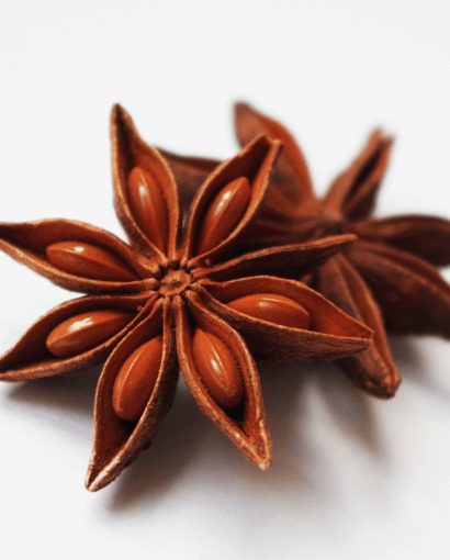 1 Étoile d'anis étoilé en gros plan sur fond blanc, épice brune aux huit pétales brillants en forme de fleur, ingrédient traditionnel du mélange 4 épices