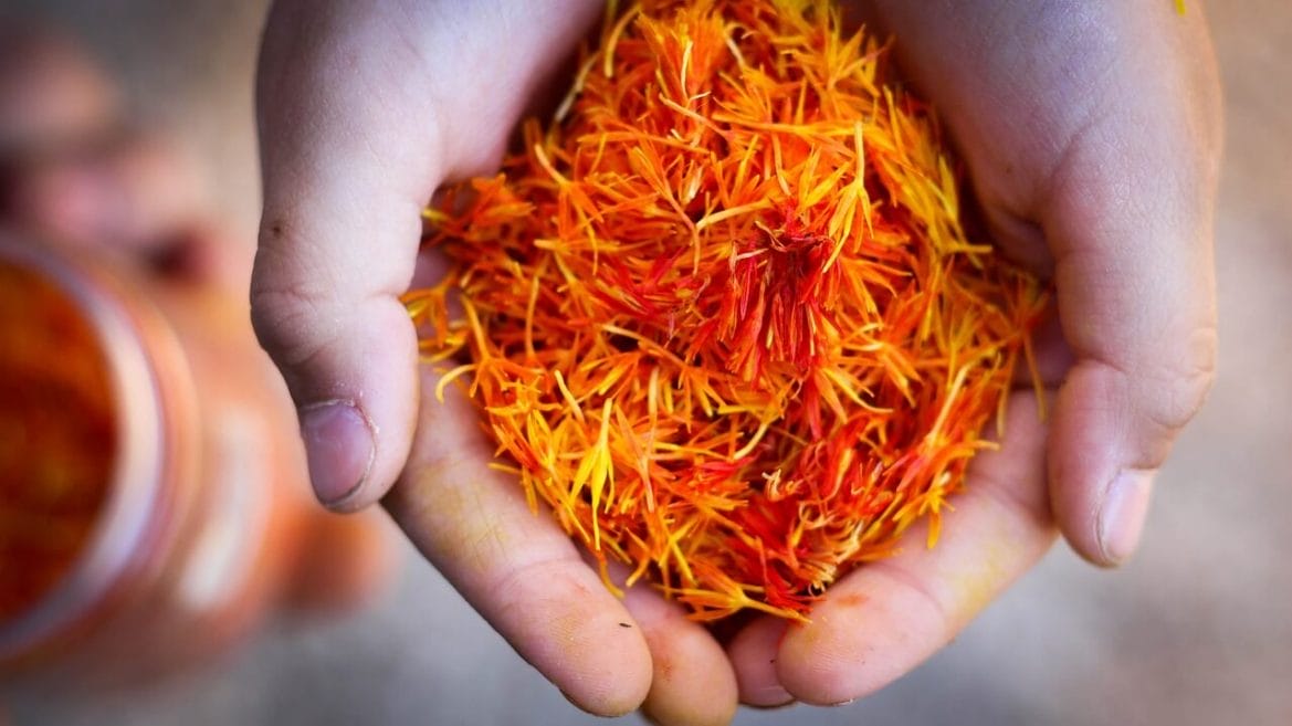 Photo by salfree saffron, hand, natural