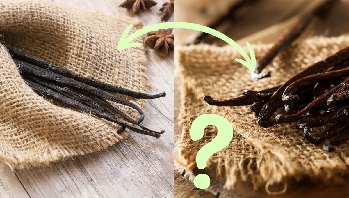 Come si conserva la vaniglia? 11 La vanille est la deuxième épice la plus précieuse au monde après le safran, et son choix mérite une attention particulière. Pour sélectionner une vanille de qualité exceptionnelle, plusieurs critères essentiels doivent être examinés avec soin.